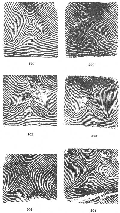 Figs. 199-204