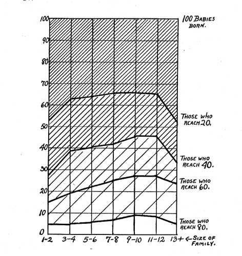 HISTORY OF 100 BABIES