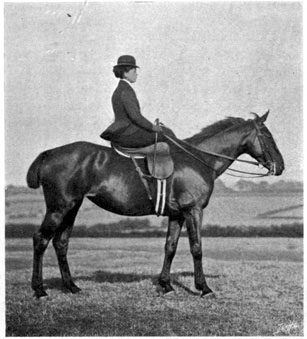 Woman seated side-saddle on a horse.