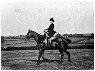 Woman riding at the trot