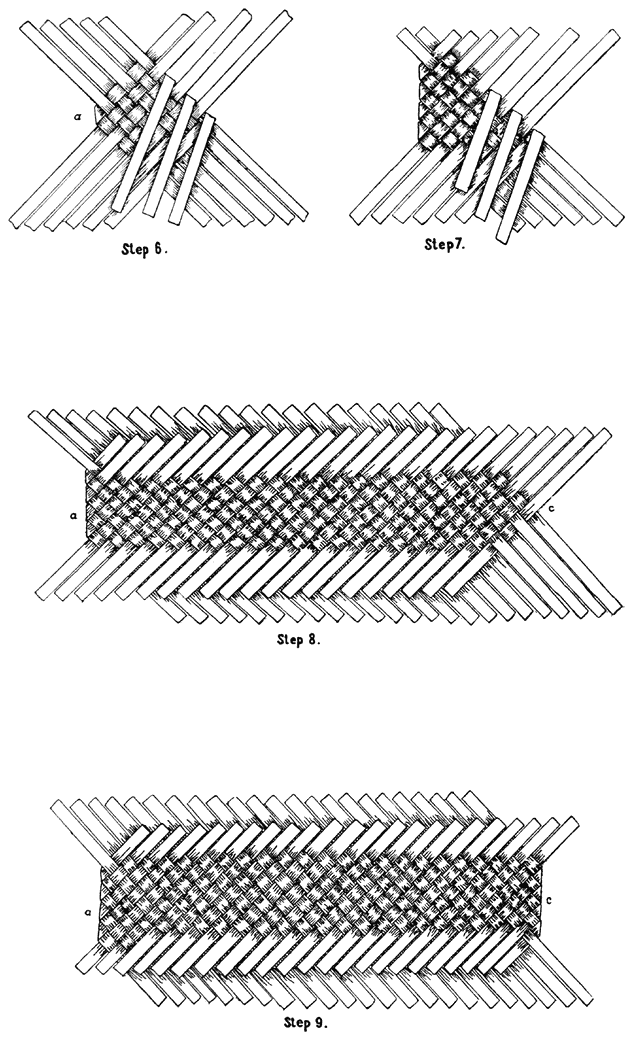 Plate VIII.