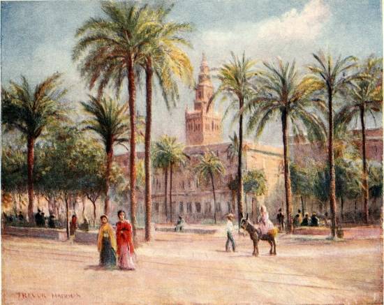 SEVILLE—PLAZA DE SAN FERNANDO