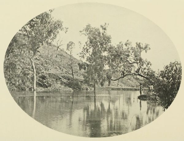 The Gum-Diggers' Swimming Pool.