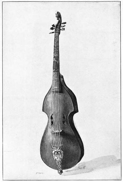 VIOLA DA GAMBA