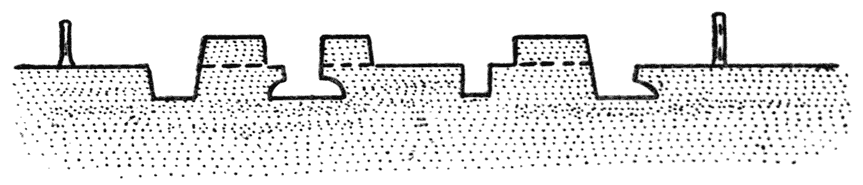 CROSS-SECTION OF ORAKAU PA